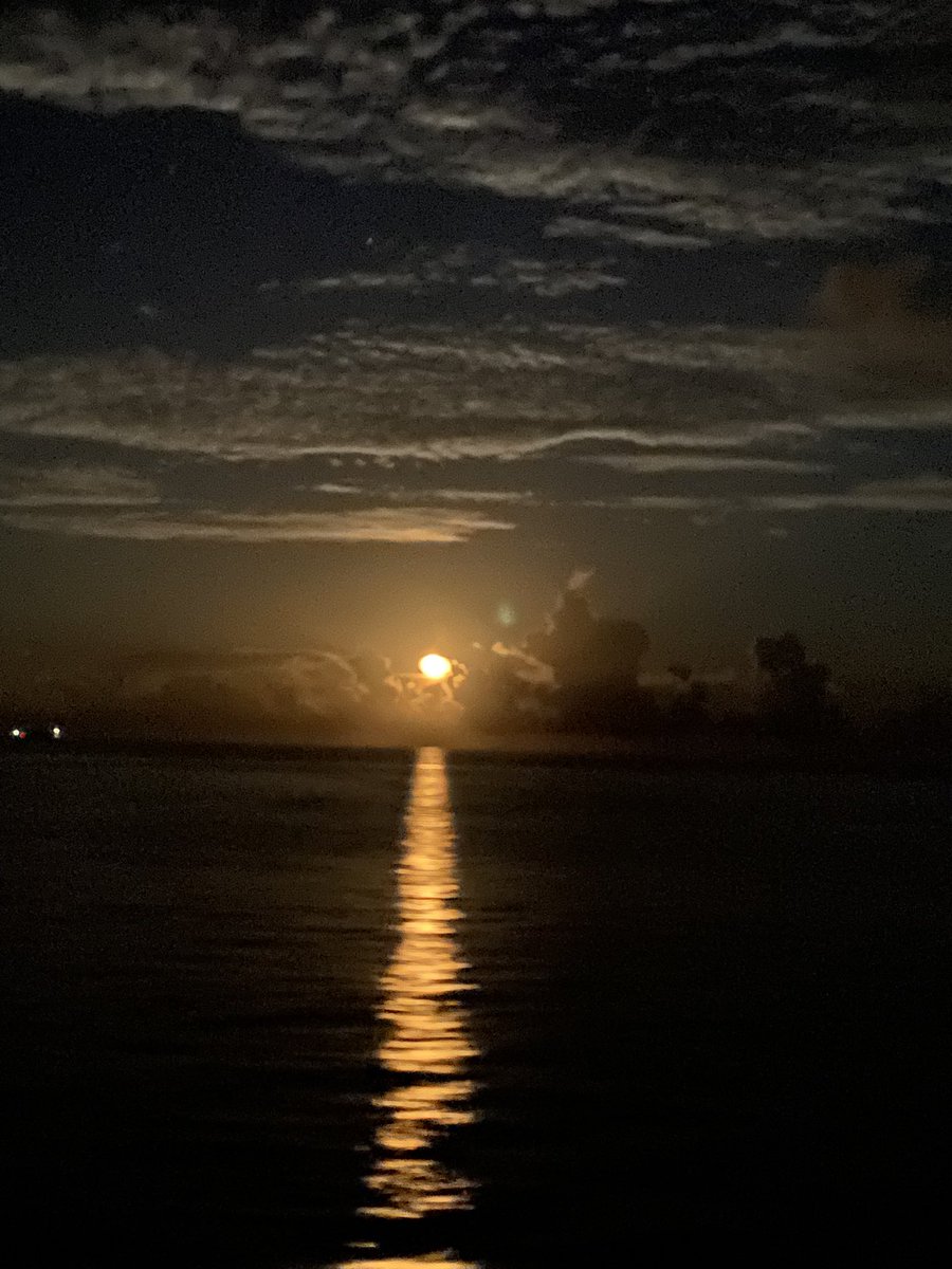 Yok bana bu cihanda bir yer…