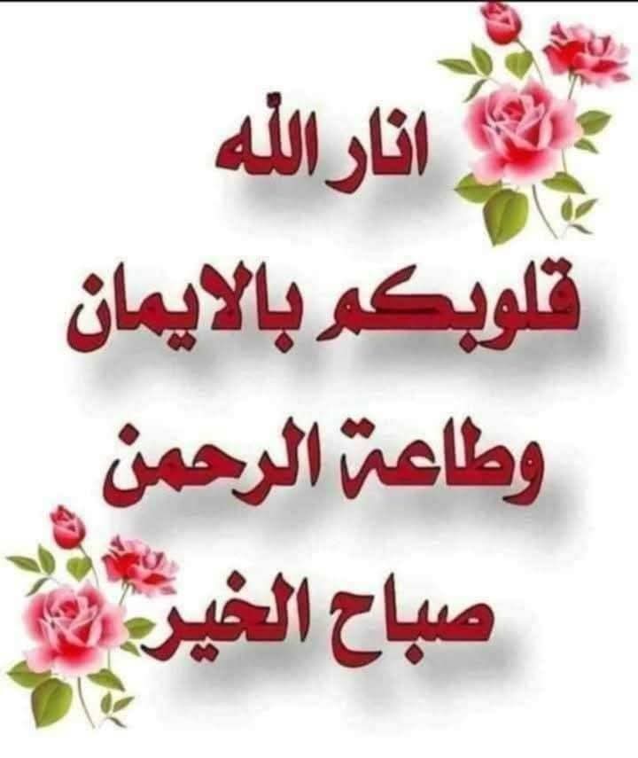 صباح جميل 🤍 
   اللهم امين يارب العالمين 🙏 
🙏🤍🌺🙏🤍🌺