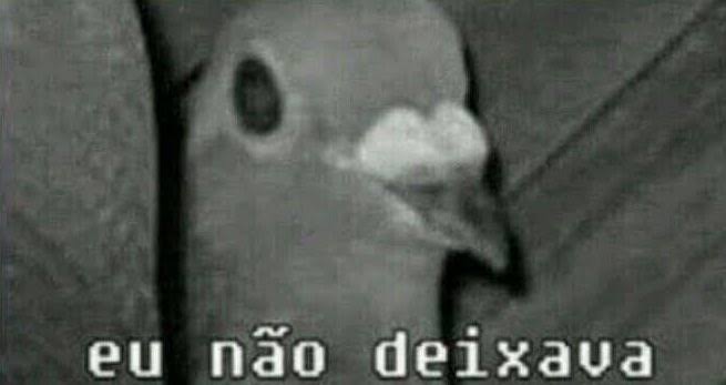 mvini1982's tweet photo. eu no meio de qualquer bate boca https://t.co/N5OL8LavIE