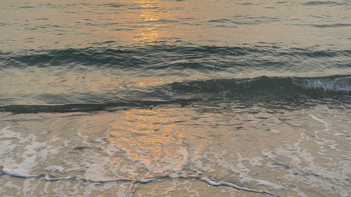 " بحر في غبته لولو ومرجان
ما كل من طبه يجيب الغنيمة "