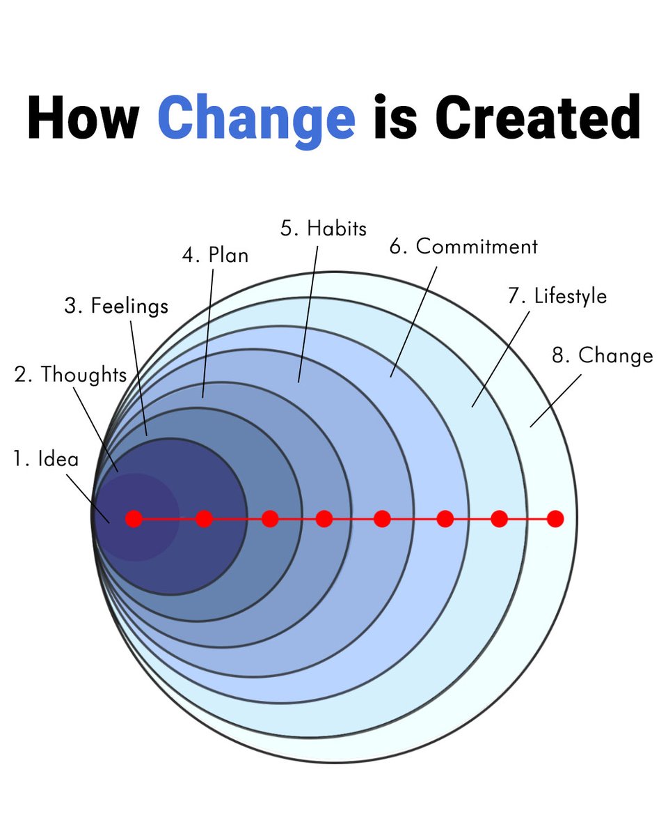 Seek Wiser tweet media