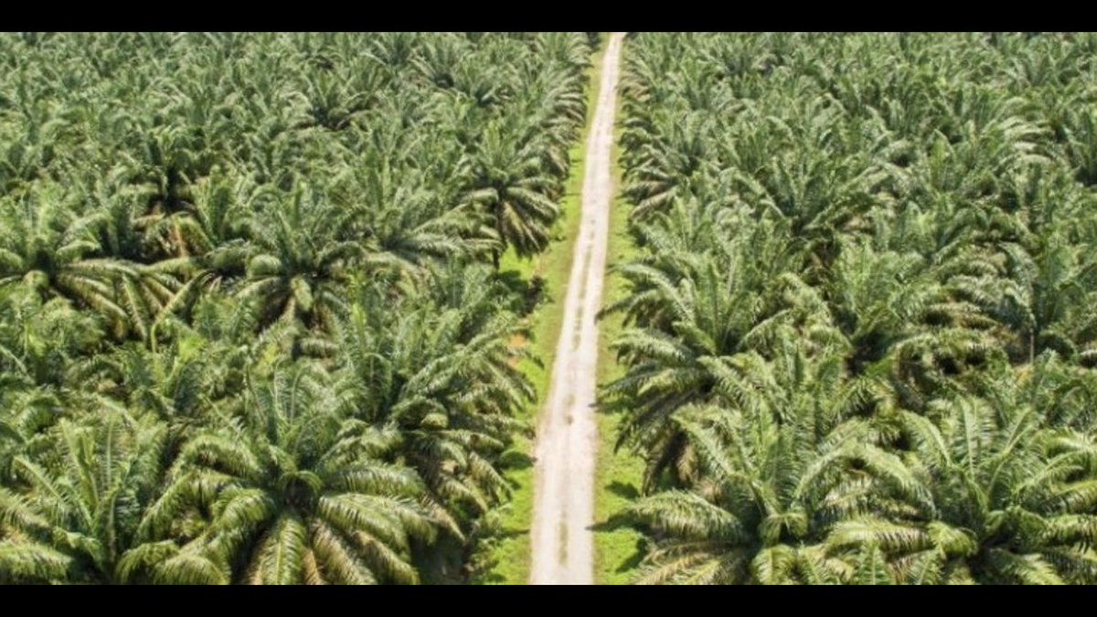 Jorge Leon Ruiz Ruiz - Economista Industrial (@jorgeleonruizr) on Twitter photo 