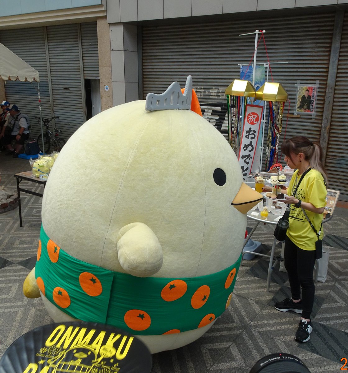 もんちゃん Fnjo4WtaQAAvHmQ.jpg