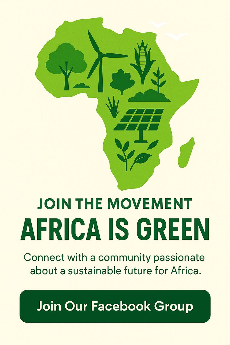 africasgreen's tweet photo. We’re uniting changemakers, eco-enthusiasts &amp; everyday heroes for a greener Africa

✅ Connect with planet lovers
✅ Explore eco-tourism &amp; green biz ideas
✅ Learn reforestation &amp; regenerative farming
✅ Share projects &amp; inspire action

Join us #AfricaIsGreen #ClimateActionAfrica https://t.co/1O4KBszbFA