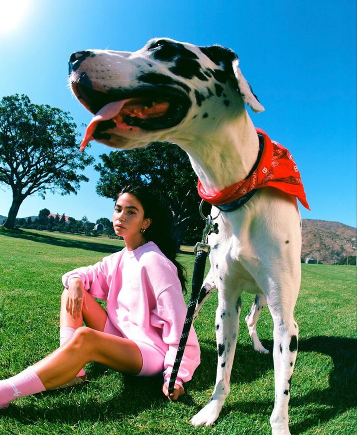 IvyWalker25's tweet image. Big dog, big heart. He guards the field, I bring the snacks 🐾🌳 #SpottedDog #OutdoorPets #PetPersonality #DogsOfTwitter #FurryFriend #NatureVibes #DogStyle #WeekendWalks