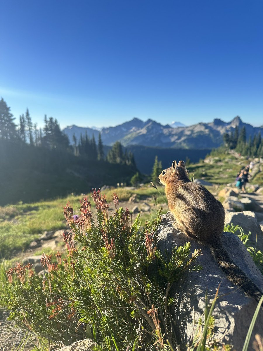 Bruce Tang tweet media