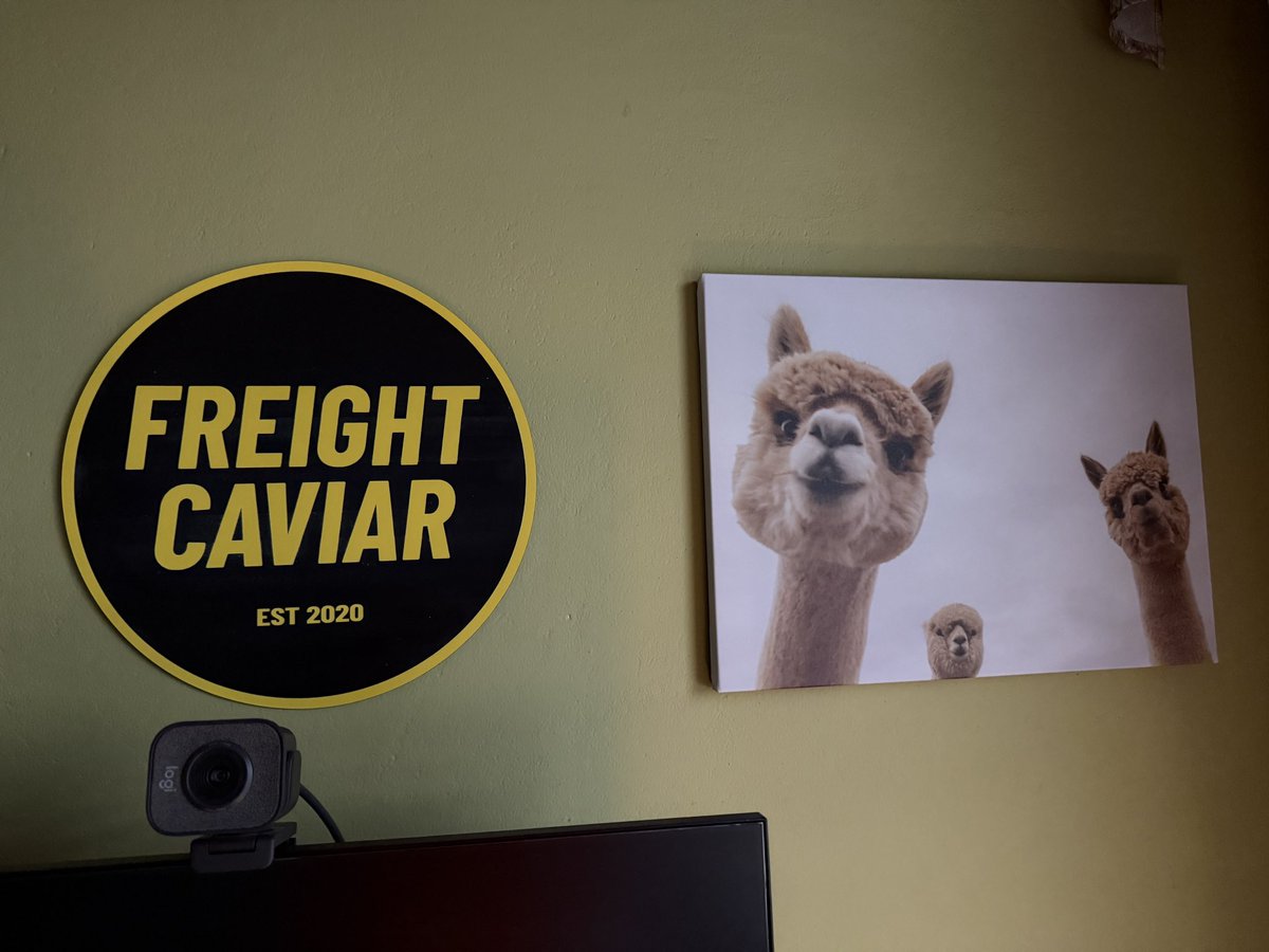 Hung up these llamas to remind myself to never take work too seriously. Have fun and smile. Life’s too short.