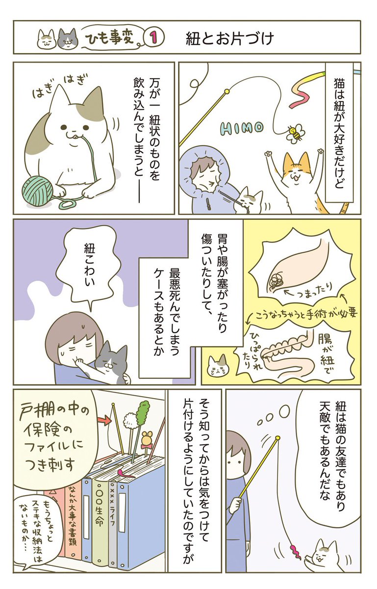 猫がヒモを誤飲した話(1/5)再掲 