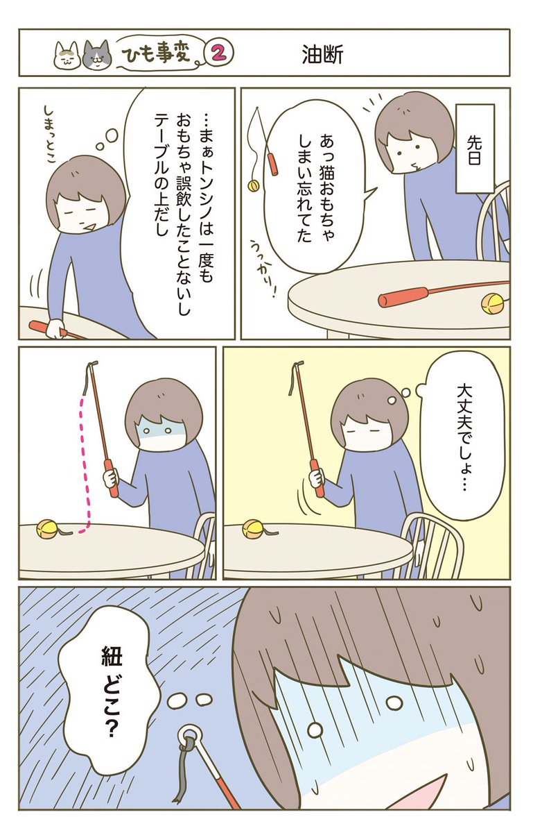 猫がヒモを誤飲した話(1/5)再掲 