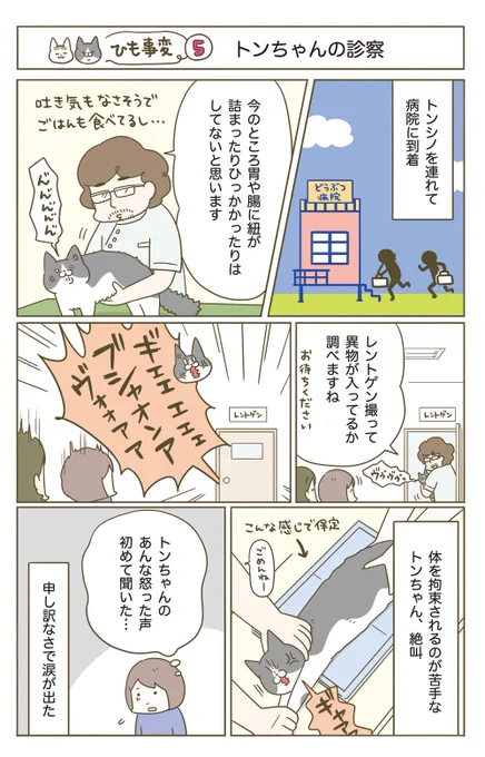 猫がヒモを誤飲した話(3/5)再掲 