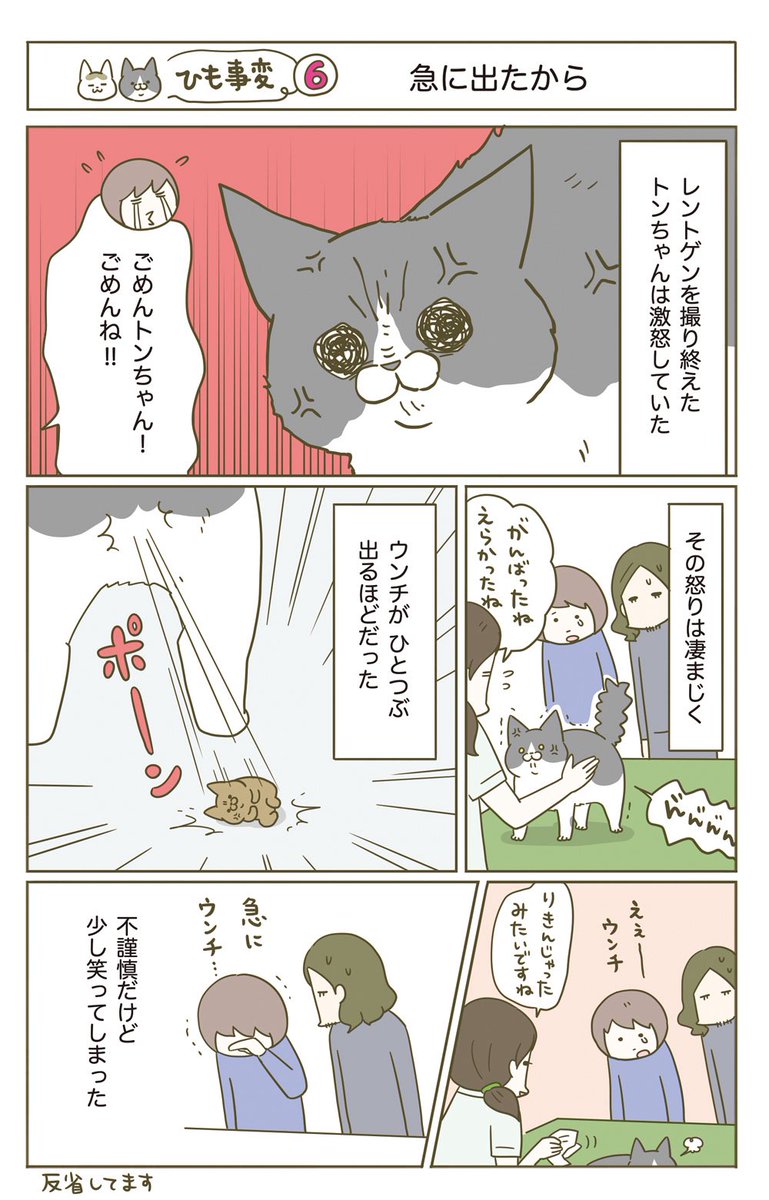 猫がヒモを誤飲した話(3/5)再掲 