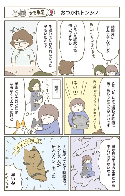 猫がヒモを誤飲した話(5/5)再掲 