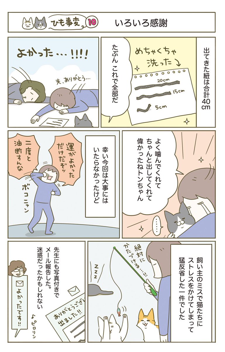 猫がヒモを誤飲した話(5/5)再掲 