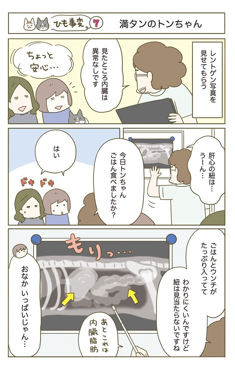 猫がヒモを誤飲した話(4/5)再掲 