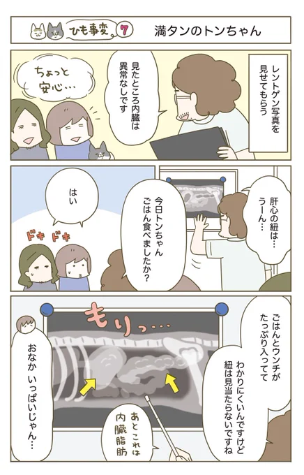 猫がヒモを誤飲した話(4/5)再掲 