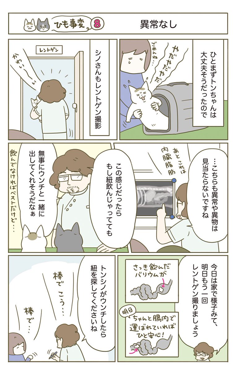 猫がヒモを誤飲した話(4/5)再掲 