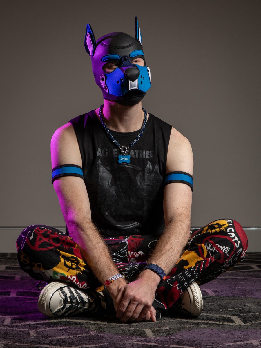 Good boy energy 🐾😇
📸 <a href="/CirrusBarks/">Cirrus</a>