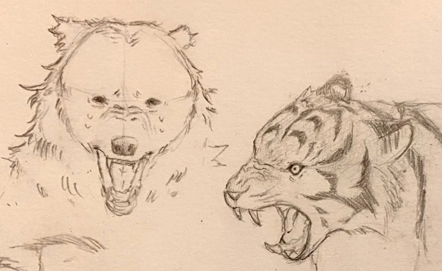 Muttson 🐊 (@drawing_gator) on Twitter photo 