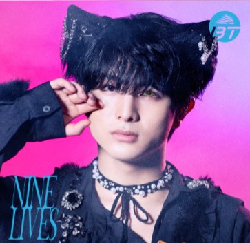 この猫ちゃんはどこで買えますか？🐈‍⬛🧡 可愛すぎる〜😇 #柏木悠 #超