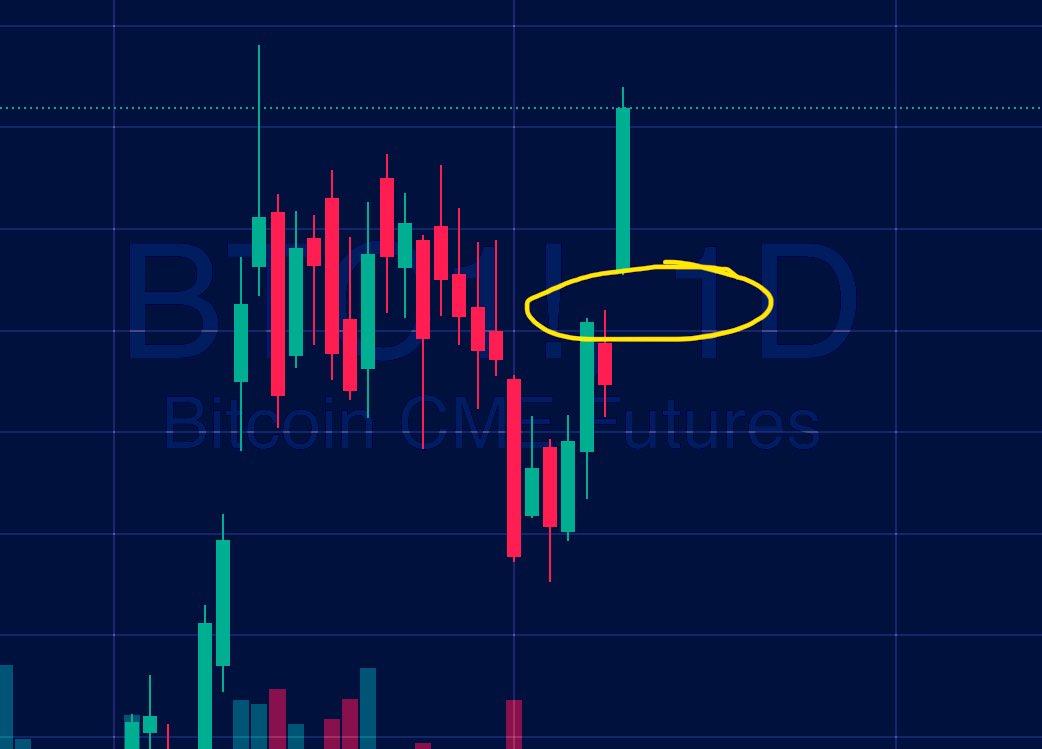 BRITISH HODL ❤️‍🔥🐂❤️‍🔥 tweet media