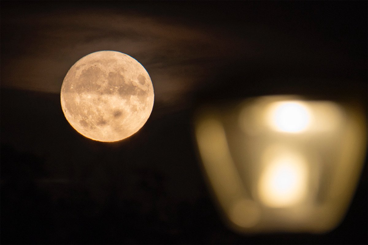 gcorbera18's tweet image. Once upon a time there was a Sturgeon Moon… ✨💫 In the Netherlands… 🇳🇱 #Moonlight #FinTechEcosystem #Netherlands #InvestinHolland @dealroomco @Visit_NL @NLatEU @usambnl