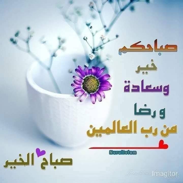ام عبدالرحمن التبوكي tweet media
