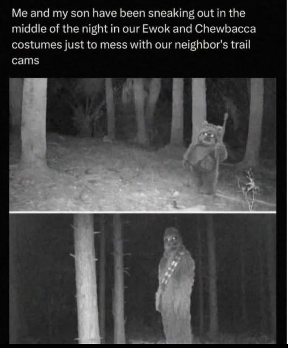 Not me searching for an Ewok and Wookie suit… 🤣😭😭