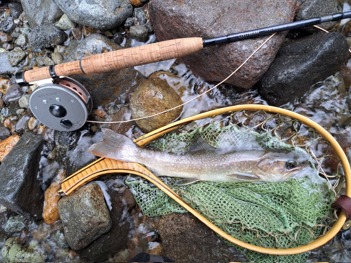 食べ物の少ない源流で必死に生き延びた山奥の岩魚。栄養状態が良ければ余裕で尺超えてるはず。
自分は全てリリースだが、キープ派もこういう個体はリリースして欲しいな。そもそも細くて身が少ないし…