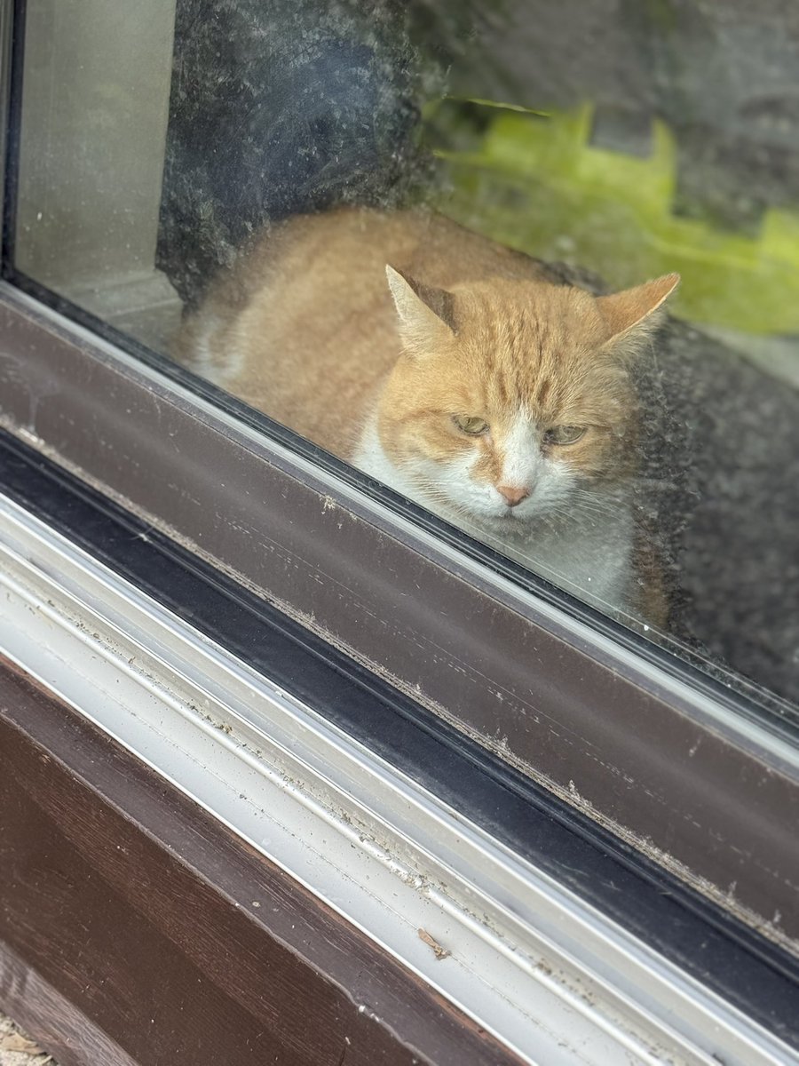 Tucker is about 44 years old now