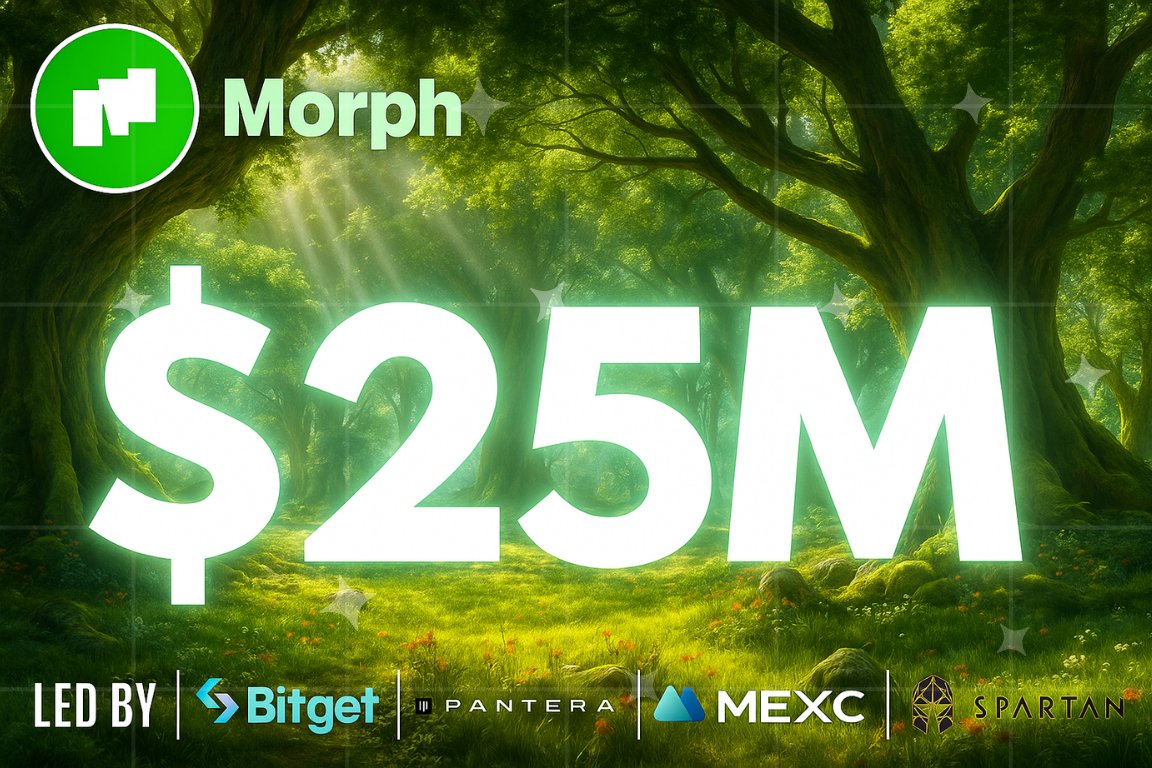 True Story Frames✌ tweet media