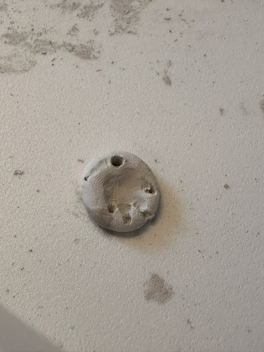 and_more1124's tweet image. アートクレイ♪
今回は手形オンリーで✨

磨きの途中｡｡｡手形だけ残してみた😆　それもまた良し👍
#silver
#hedgehog
#Handshape