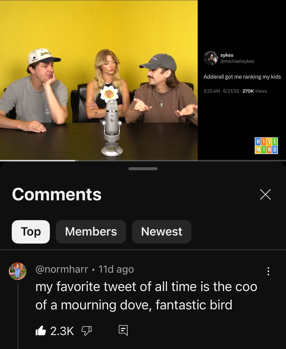 Riley Savage Updates (@whatsrileydoing) on Twitter photo 