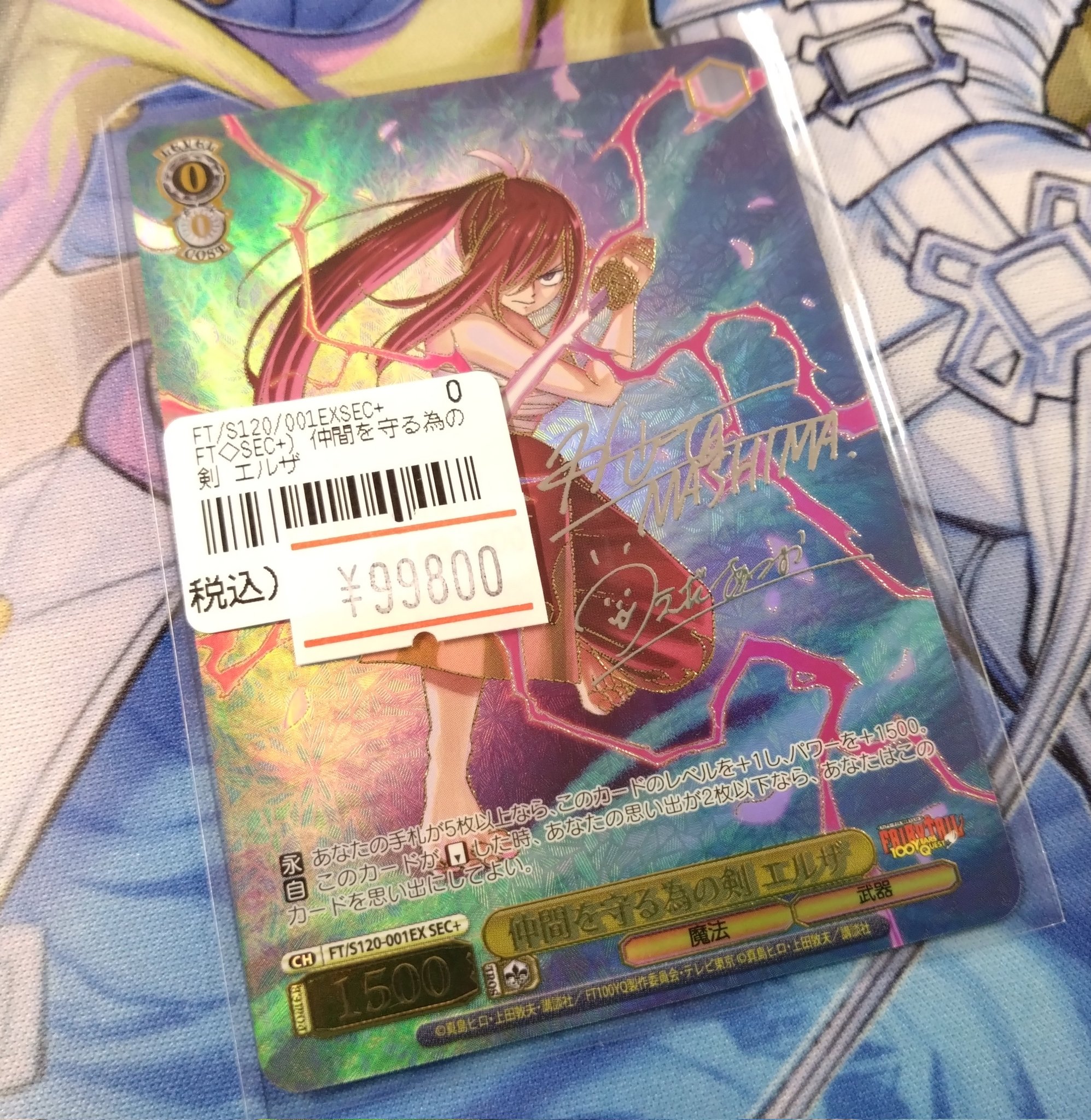 ヴァイス　仲間を守る為の剣　エルザ　sec + BGS10 ヴァイス仲間を守る為の剣エルザsec +（ヴァイスシュヴァルツ