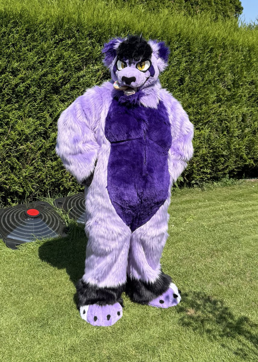 Whootwolf @NFC (@whootwolf) on Twitter photo Now this Boyo is complete!! Bodysuit made by kyrafox. Photo taken by <a href="/ArmoshTalia/">Armosh/Talia</a>
#furry #fursuit #fursuiter #fullfursuit #demonwolf #wolffursuit #purplefurry #furrypecs #musclefursuit Now this Boyo is complete!! Bodysuit made by kyrafox. Photo taken by <a href="/ArmoshTalia/">Armosh/Talia</a>
#furry #fursuit #fursuiter #fullfursuit #demonwolf #wolffursuit #purplefurry #furrypecs #musclefursuit