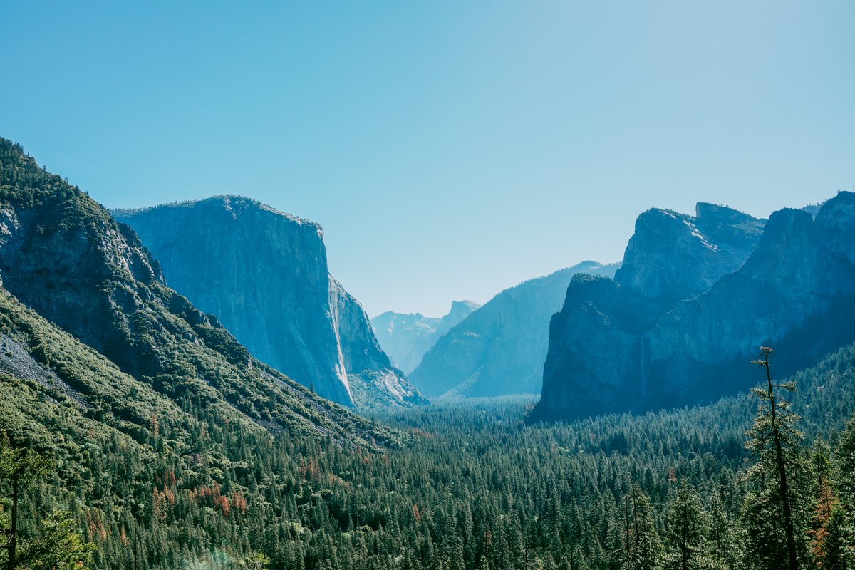 modulelab0's tweet image. 2015 USA yosemite #filmlook #cinematiccolor #sony #Rx1 #OutsideJapan #Travel #colorgrading #photography #videography #1cutcinema