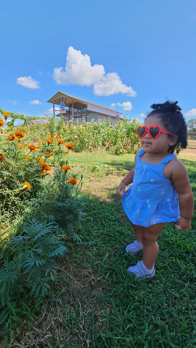 My wife and daughter saw a sign for a flower garden on our weekend roadtrip so of course we had to stop