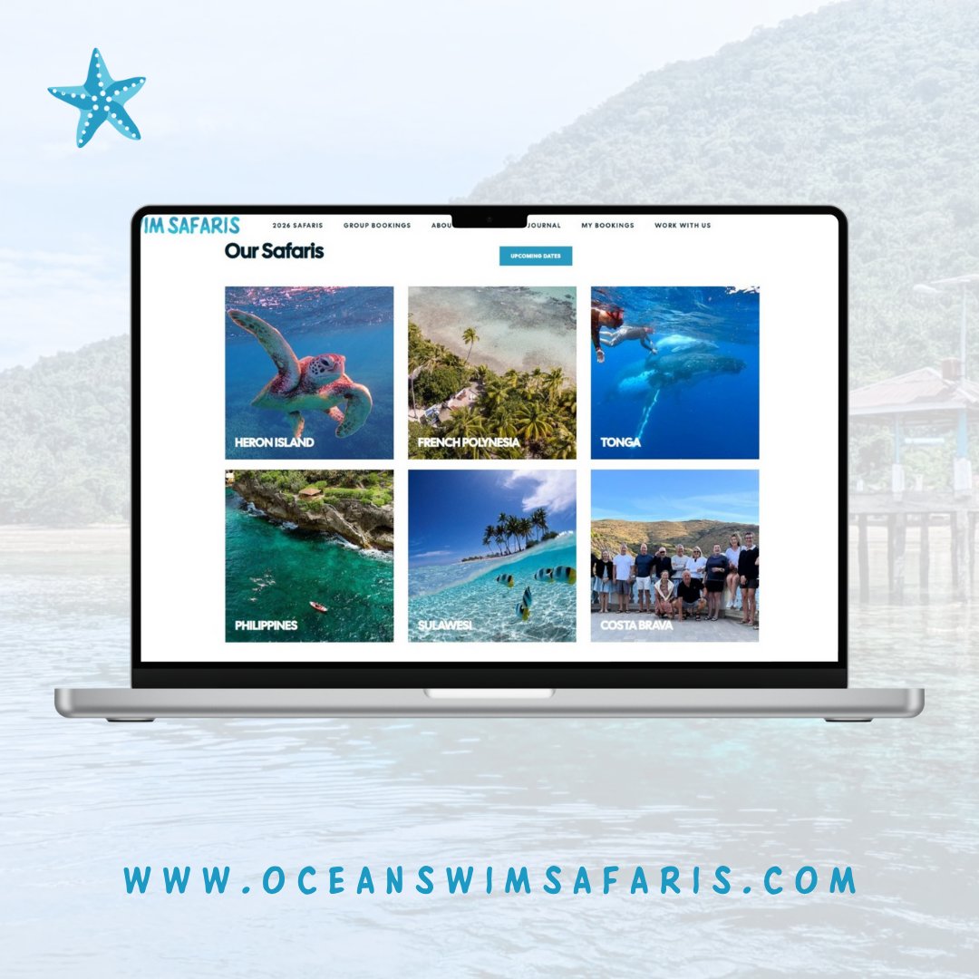 oceanswimsafaris tweet media