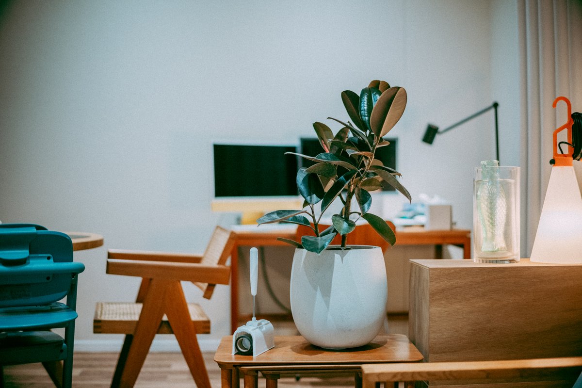 modulelab0's tweet image. 🌱little Burgundy #gfx100s #filmlook #cinematiccolor #colorgrading #photography #videography