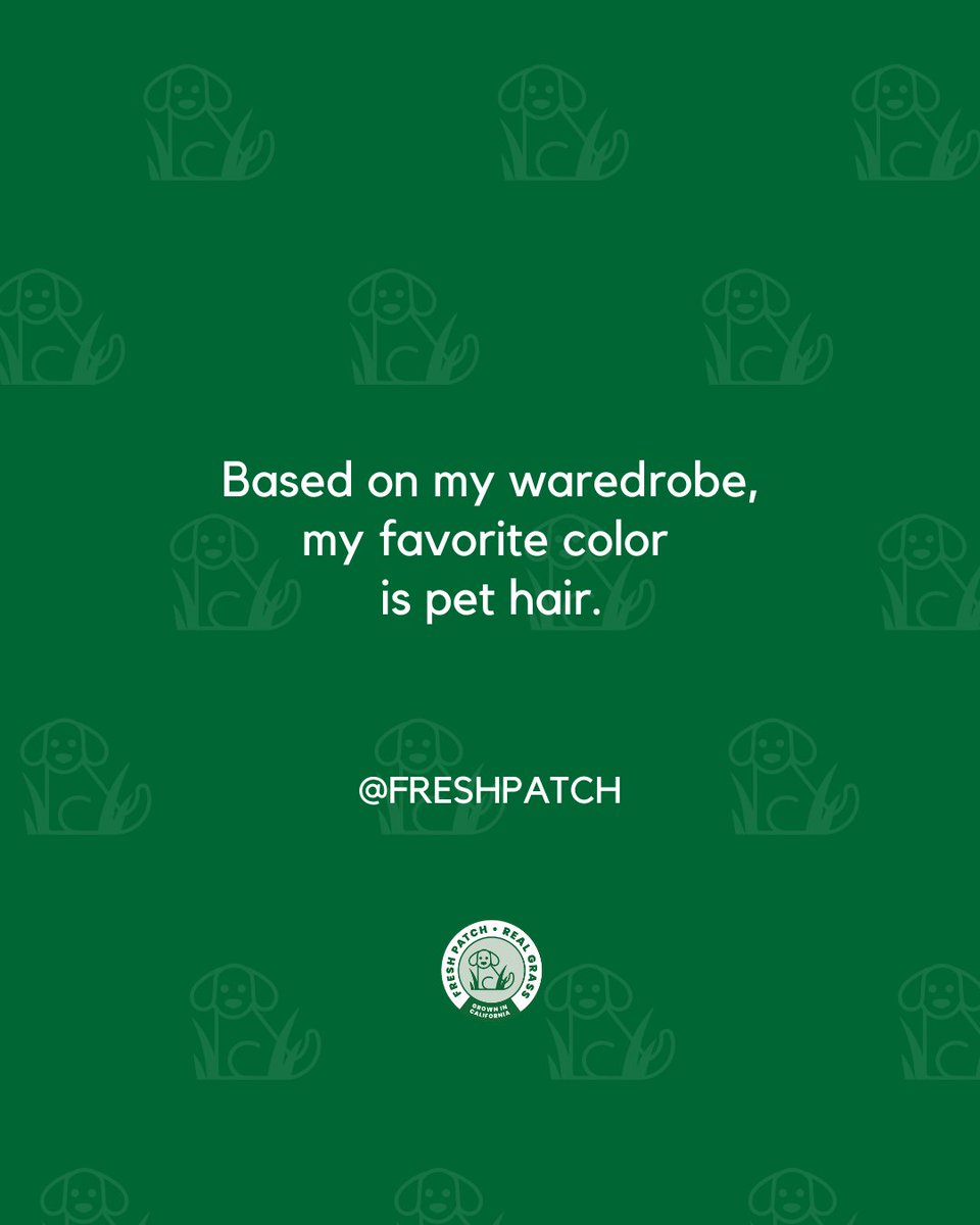 FreshPatch's tweet image. Someone pass the lint roller. 

#FreshPatch #PetParentProblems #PetQuote