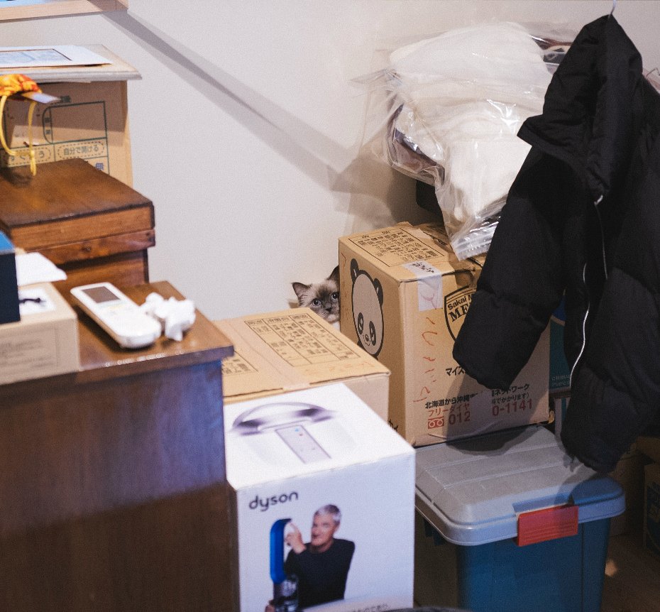 modulelab0's tweet image. 🐈find a little #filmlook #cinematiccolor #colorgrading #photography #videography #M11 #Leica #rangefinder