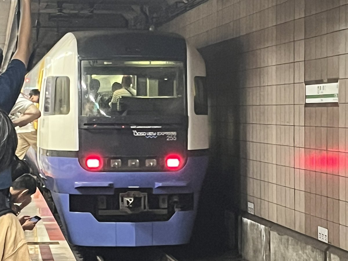 mymine2001's tweet photo. 255系特急わかしお
東京駅で待機中
#255系 https://t.co/rmKiuVchB1