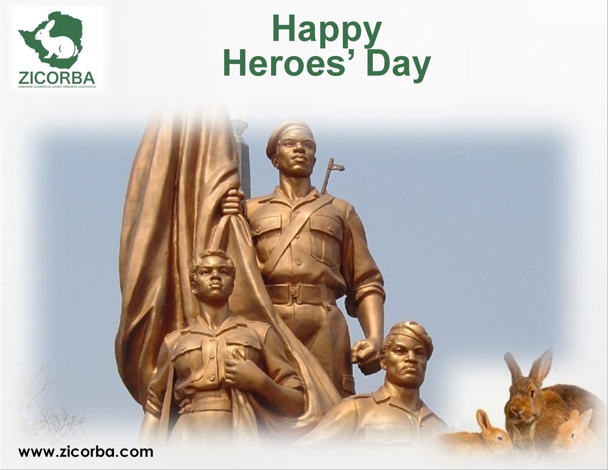 RabbitZimbabwe's tweet photo. Hop to it, Zimbabwe! 🇿🇼❤️ On Heroes Day, ZICORBA salutes our nation's heroes and heroines, fueling food security and economic growth one hop at a time! 🐰💪.
Happy Heroes' Day
#RabbitPower
#FoodSecurity
#zicorba
#letsmakezicorbagreat #rabbitfarming https://t.co/QnvxJ8FOwq