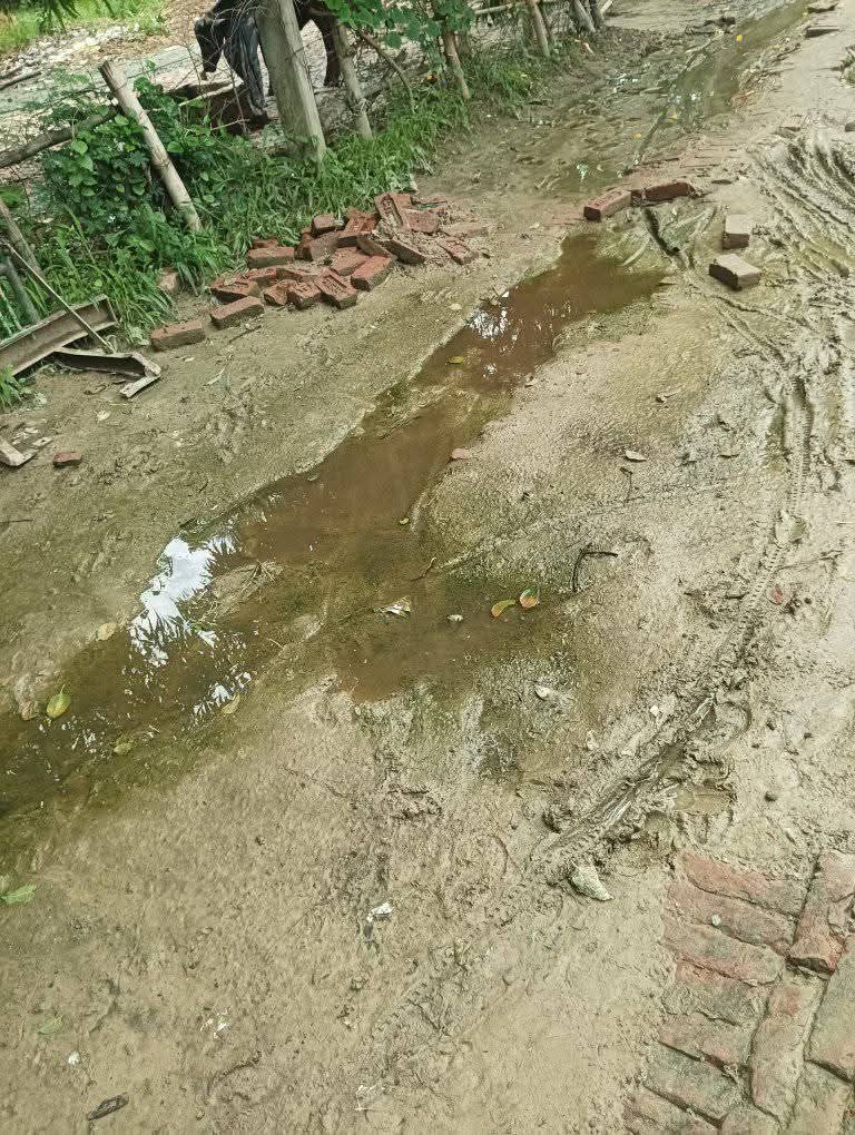 Iam_Manendra's tweet photo. गांव बेलई पोस्ट अटसलिया तहसील संडीला हरदोई में सड़को पर जलभराव से 80% लोग मलेरिया की चपेट मे 1 की मौत। बच्चे स्कूल से वंचित। नेता-प्रशासन मौन। 🙏 तुरंत कार्रवाई करें। @UPGovt @ChiefSecyUP @sidharthnsingh @myogioffice @upcoprahul #Hardoi #Sandila #Malaria #HealthCrisis #UPGov https://t.co/7qIxHHM354