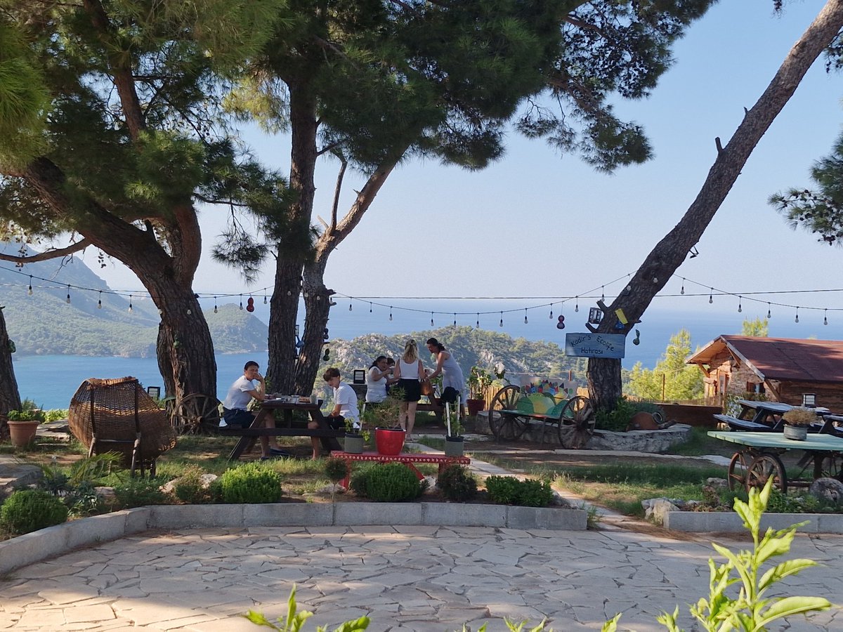 Günaydın can dostlarım yellitepeden selamlar