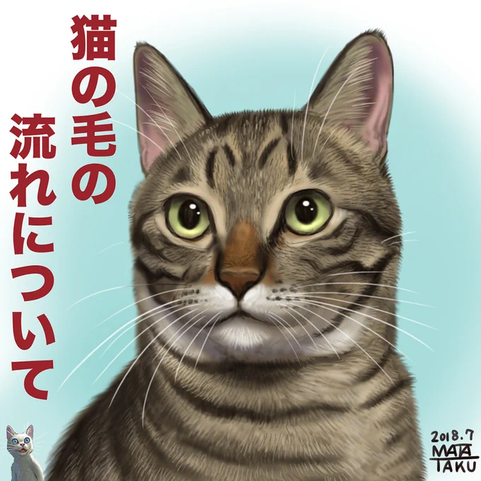 猫の毛の流れについて
猫の毛の流れについてまとめてみました。
これは自己流の観察によるものなのでその辺はご了承ください。
(2018年にまとめたものです)
pixivにも投稿しました。
https://t.co/Fg00QUx5F5 