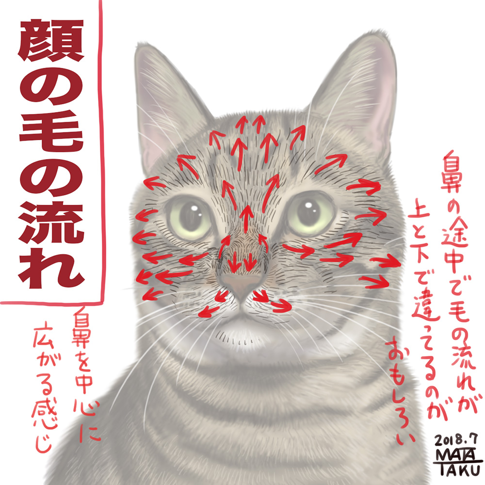 猫の毛の流れについて
猫の毛の流れについてまとめてみました。
これは自己流の観察によるものなのでその辺はご了承ください。
(2018年にまとめたものです)
pixivにも投稿しました。
https://t.co/Fg00QUx5F5