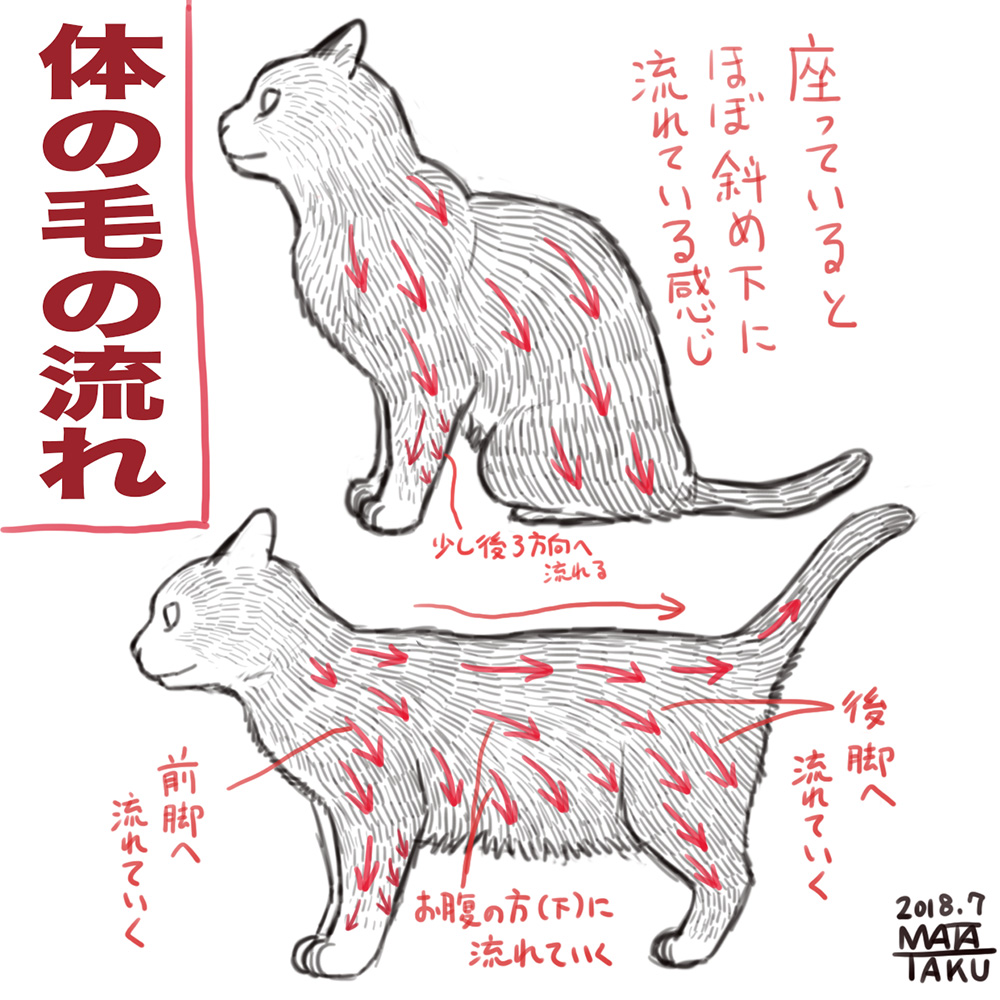 猫の毛の流れについて
猫の毛の流れについてまとめてみました。
これは自己流の観察によるものなのでその辺はご了承ください。
(2018年にまとめたものです)
pixivにも投稿しました。
https://t.co/Fg00QUx5F5
