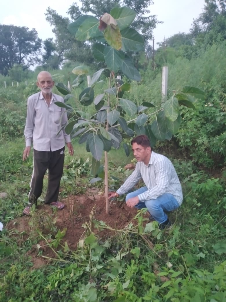 MunishK73579444's tweet photo. #ClimateSolutions #Rayya #MissionLife #GenerationRestoration #HarGharTiranga #biodiversity #पर्यावरण_संरक्षण #Saavan https://t.co/ly8GpMFRGl