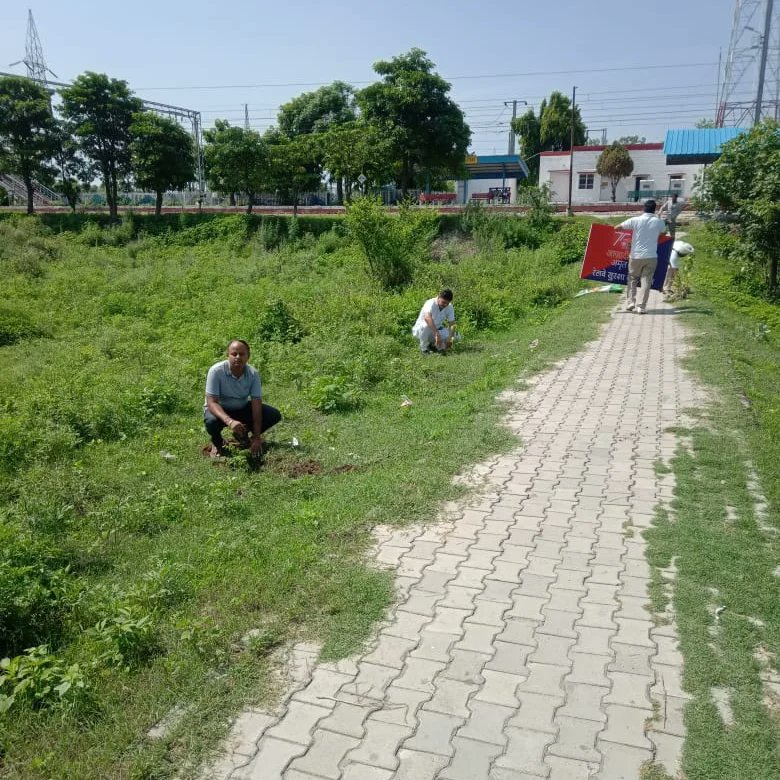 MunishK73579444's tweet photo. #ClimateSolutions #Rayya #MissionLife #GenerationRestoration #HarGharTiranga #biodiversity #पर्यावरण_संरक्षण #Saavan https://t.co/ly8GpMFRGl