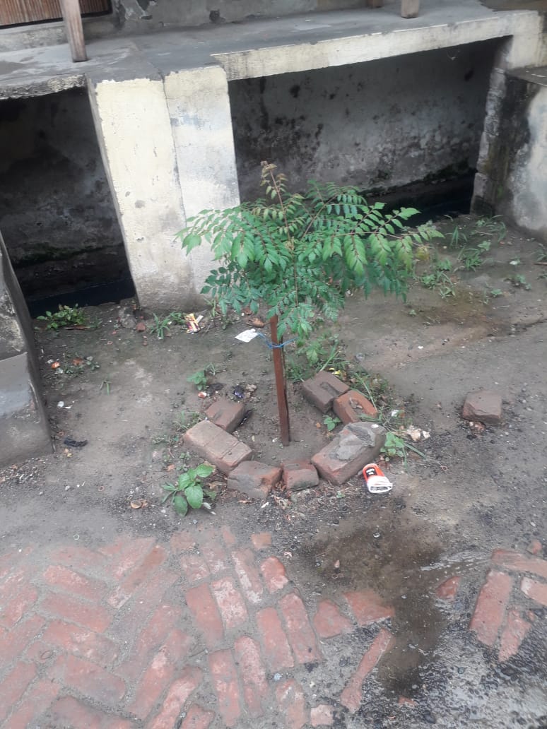 MunishK73579444's tweet photo. #ClimateSolutions #Rayya #MissionLife #GenerationRestoration #HarGharTiranga #biodiversity #पर्यावरण_संरक्षण #Saavan https://t.co/ly8GpMFRGl